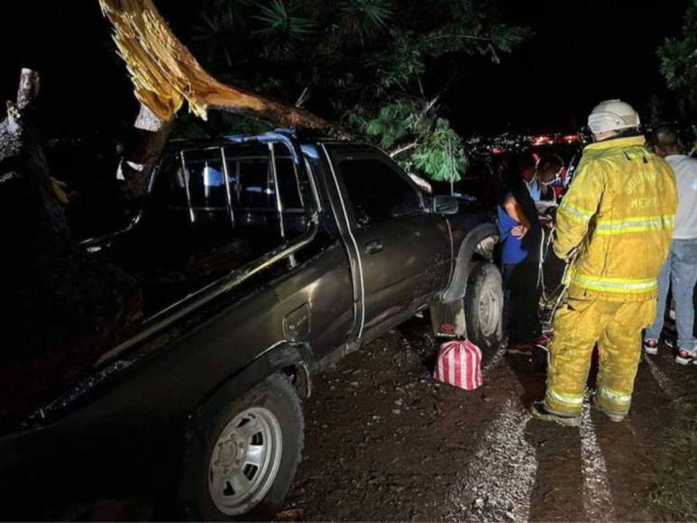 Así era Ricxi Márquez, joven aplastada por un árbol, tras pedir un “jalón” en Comayagua