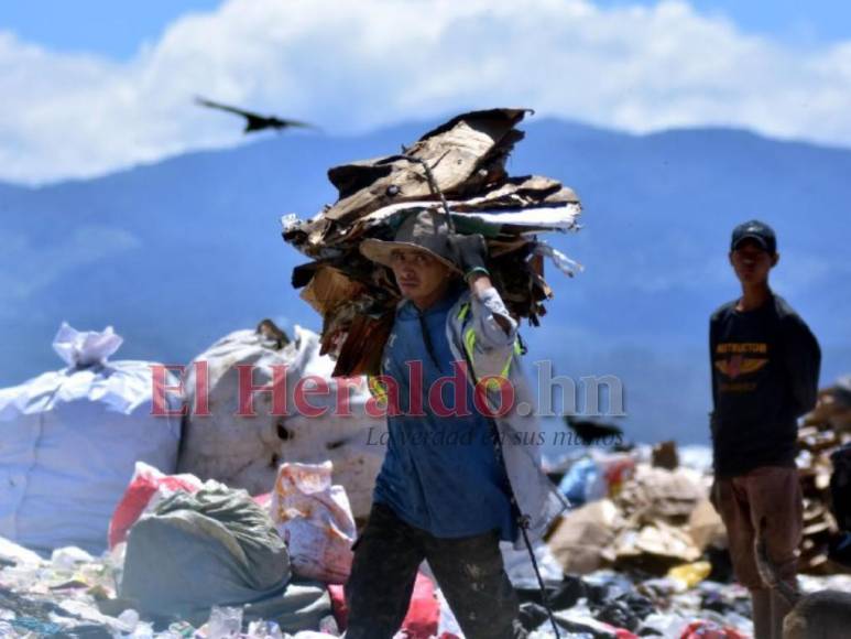 El reflejo del sufrimiento en el rostro de los pepenadores del Crematorio (Fotos)