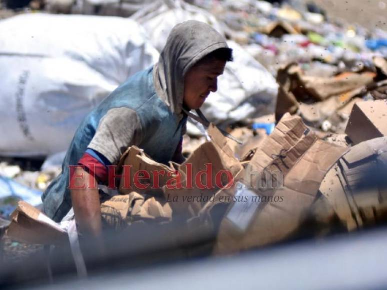 El reflejo del sufrimiento en el rostro de los pepenadores del Crematorio (Fotos)