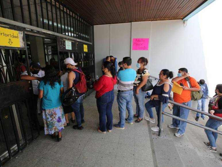 “Están haciendo fila desde ayer”: continúa odisea para conseguir una cita en el IHSS