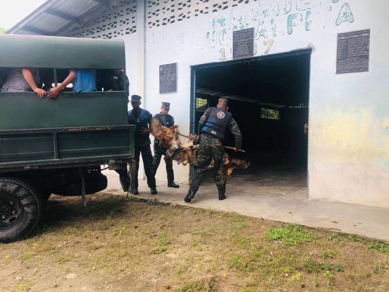 Sacados en brazos, con pocas pertenencias y sus animalitos: el drama que viven familias evacuadas (Fotos)