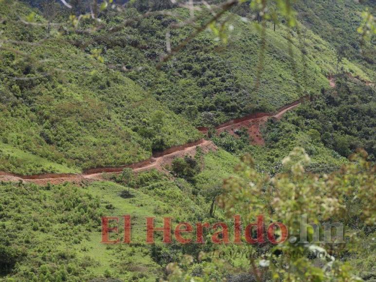 Destrucción, amenazas, ranchos y ganado: Así se maneja la tierra en la Biósfera del Río Platano