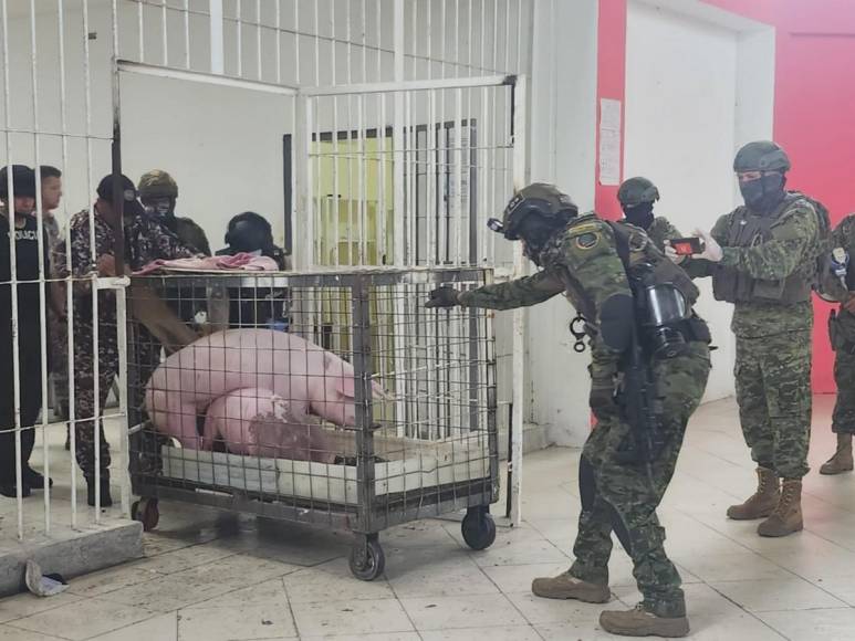 El insólito hallazgo en una cárcel de Ecuador