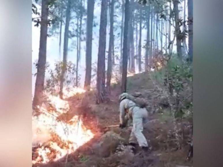 Impactantes imágenes del incendio forestal que se reactivó en cerro El Trigo