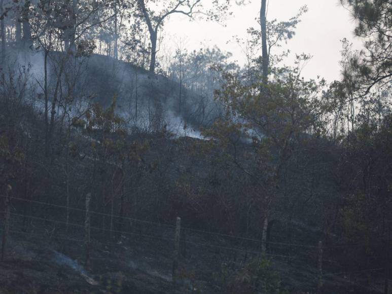 Destruida y deforestada: así se encuentra la zona núcleo de la Biósfera del Río Plátano