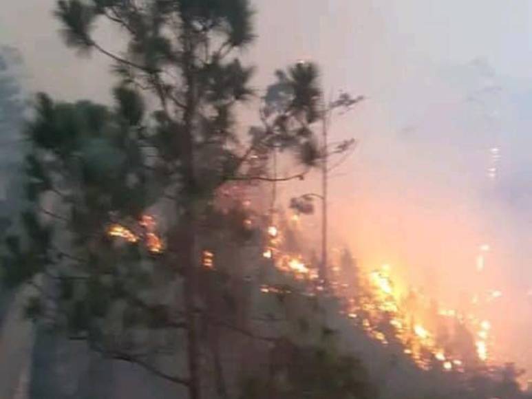 Impactantes imágenes del incendio forestal que se reactivó en cerro El Trigo