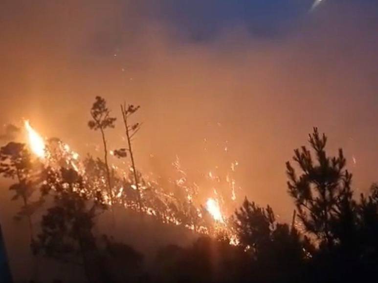 Impactantes imágenes del incendio forestal que se reactivó en cerro El Trigo