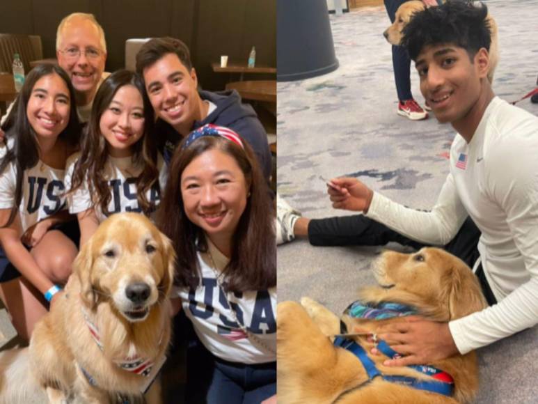 ¿Quién es Beacon, el perro terapia que forma parte del team USA de gimnasia?