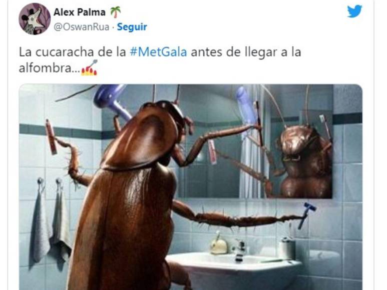 Los imperdibles memes de la cucaracha de la Met Gala 2023