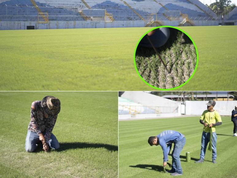 ¡Una lindura! Así quedó la grama híbrida en el estadio Morazán