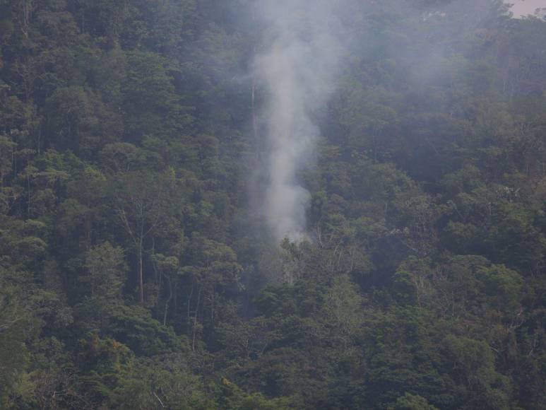 Destruida y deforestada: así se encuentra la zona núcleo de la Biósfera del Río Plátano