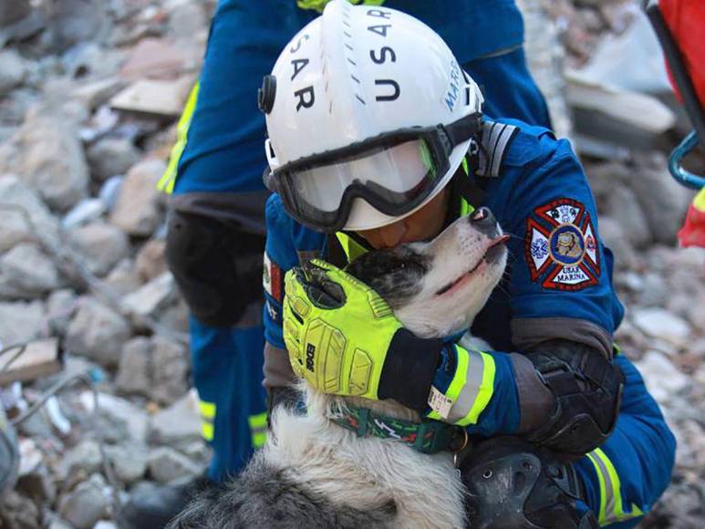 Así fue el impresionante rescate de un perrito entre los escombros cuatro días después del terremoto en Turquía