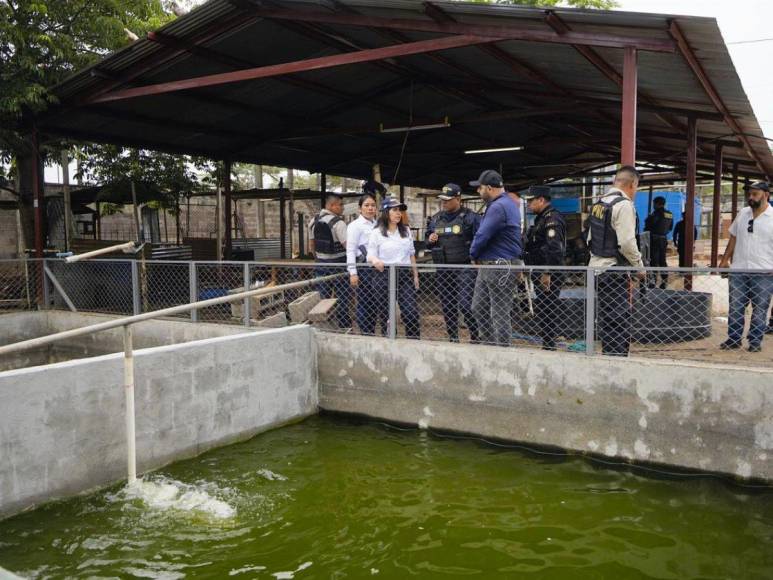 Recuperan cárcel en Guatemala: hallan call center y animales exóticos