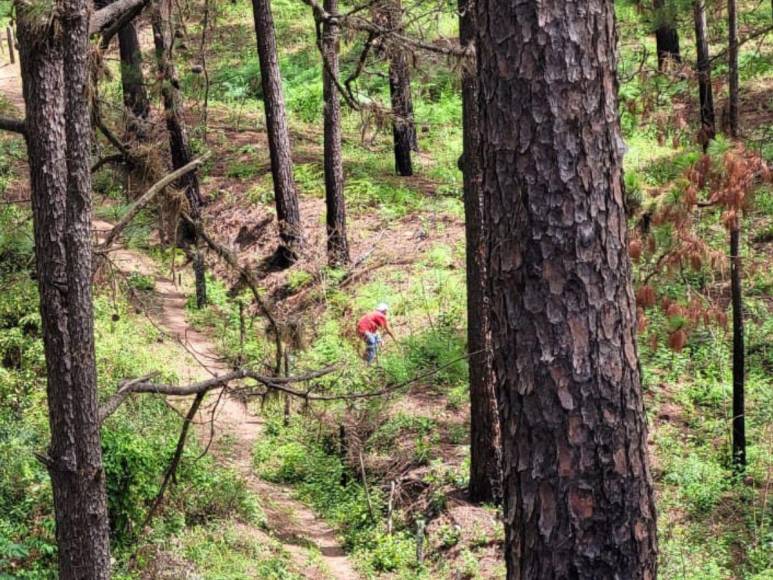 Semienterradas en fosas clandestinas: fotos del hallazgo de tres jovencitas muertas en Cedros