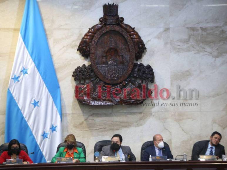 Del homenaje a Carolina Echeverría a la tensión por comisionada del Conadeh: Así se desarrolló la sesión del CN