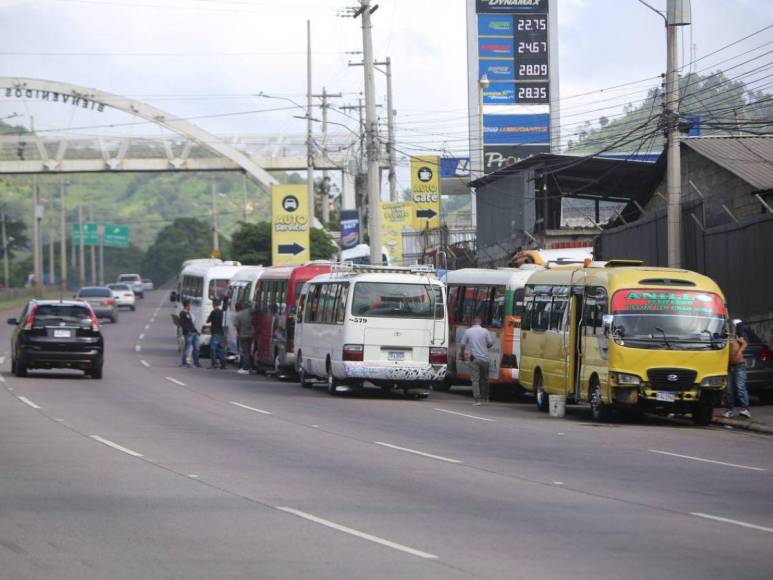 Transportistas cumplen su advertencia y paralizan sus buses en la capital