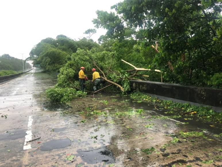 Inundaciones y destrucción deja huracán Fiona a su paso por el Caribe