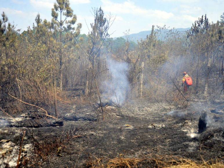 Desolación y aire contaminado en la capital dejan incendios forestales en La Tigra