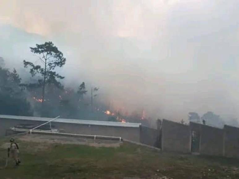 Impactantes imágenes del incendio forestal que se reactivó en cerro El Trigo