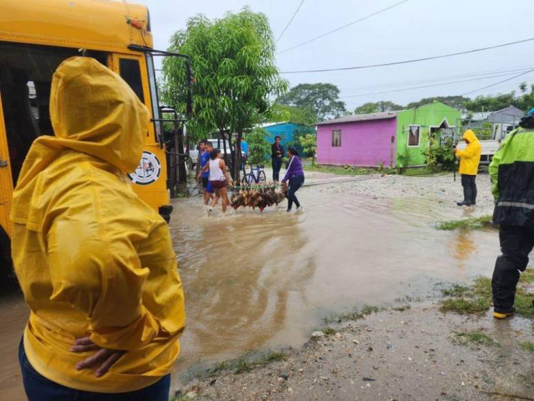 Un muerto, evacuaciones y múltiples inundaciones: Choloma vuelve a estar en riesgo por Julia