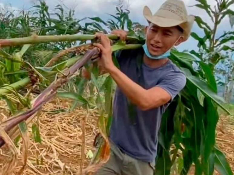 Cómo llegó a Honduras, su loca meta y su mujer soñada: lo que no sabías de Shin Fujiyama