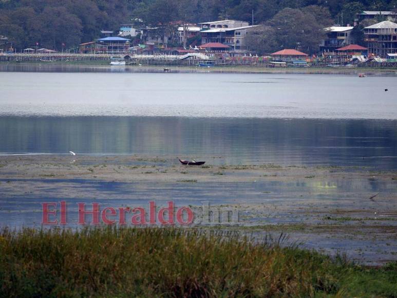 Heces, metales pesados y agroquímicos matan lentamente el Lago de Yojoa (FOTOS)