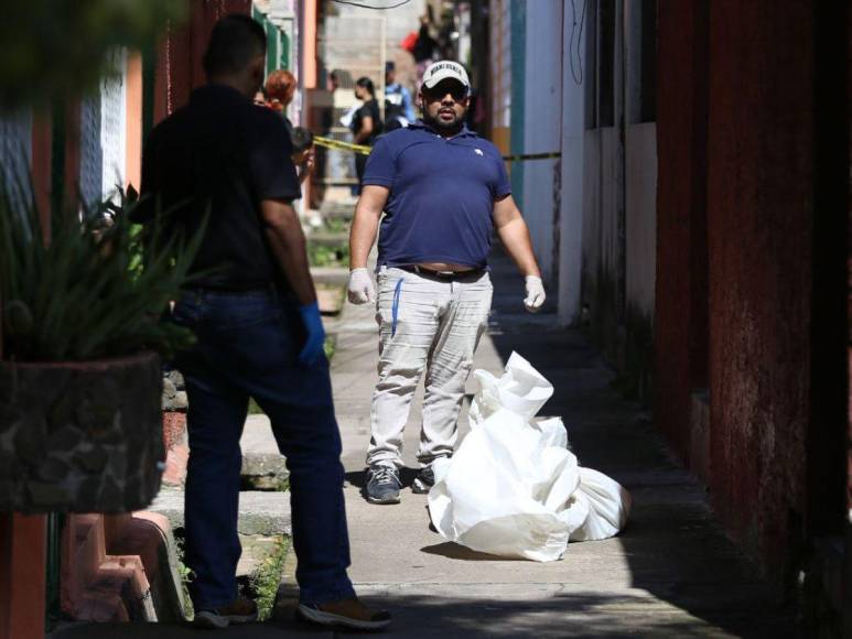 Una discusión y un ataque de su pareja: crimen de mujer en colonia Los Girasoles