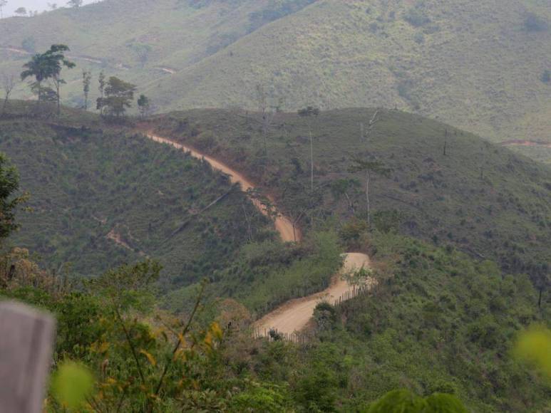 Ocupación de tierras, narcocarreteras y deforestación: conflicto en el río Plátano