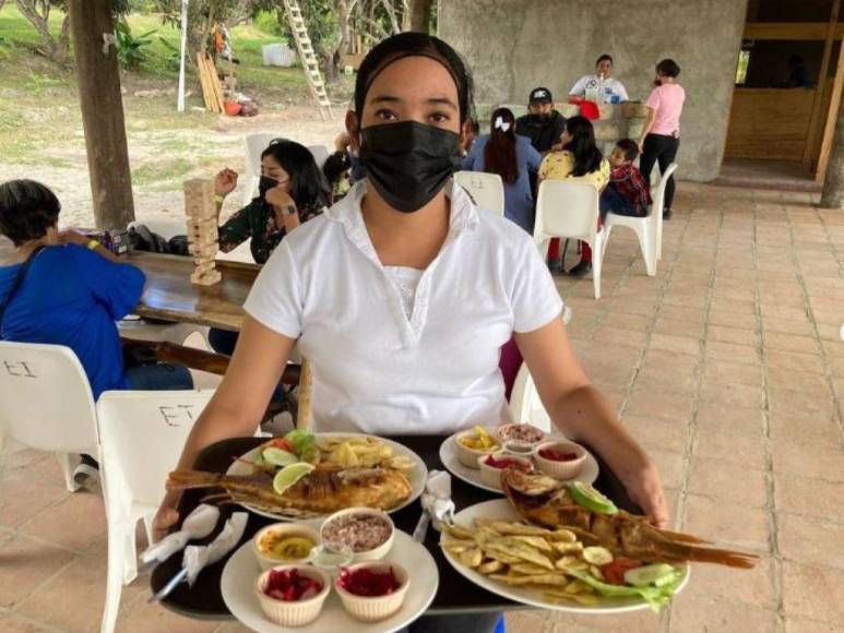 Laberinto de Cipreses, el nuevo atractivo turístico que es sensación en Comayagua