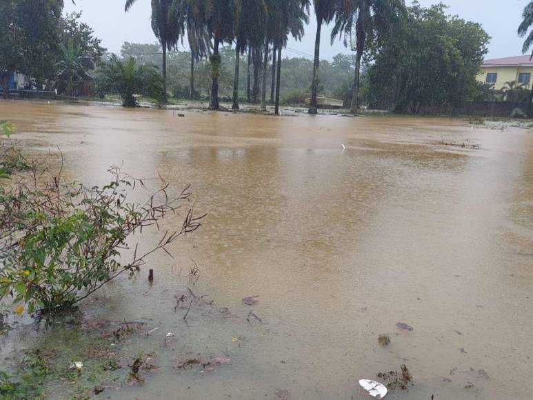 Ríos desbordados e inundaciones: Daños por fuertes lluvias en Atlántida