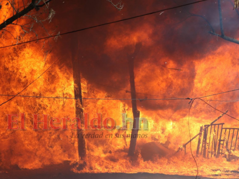 Asesinatos, incendios y enfrentamiento entre policías y pandilleros: Resumen de sucesos (FOTOS)