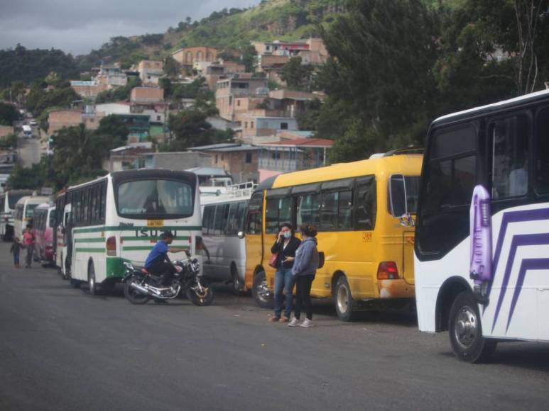 Transportistas cumplen su advertencia y paralizan sus buses en la capital