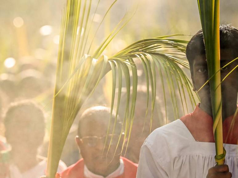 El mundo cristiano celebra la entrada triunfal de Cristo a Jerusalén en el Domingo de Ramos