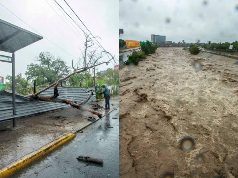 Muertos, calles inundadas y árboles caídos provoca tormenta Alberto en México