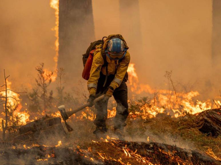 Imágenes del incendio catastrófico que arrasa el norte de California, EUA