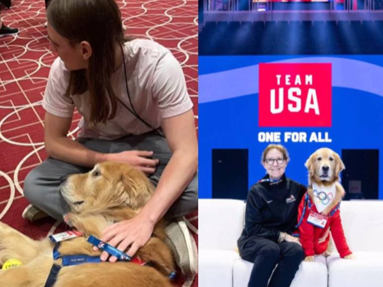 ¿Quién es Beacon, el perro terapia que forma parte del team USA de gimnasia?