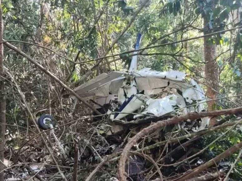 Reconocido ganadero fallece en accidente aéreo junto a su hijo en Brasil; su esposa se quita la vida días después