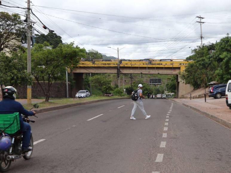 ¿En qué sectores y cómo serán los diseños de los nuevos puentes peatonales de la capital?