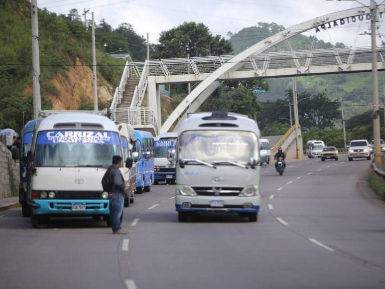 Transportistas cumplen su advertencia y paralizan sus buses en la capital