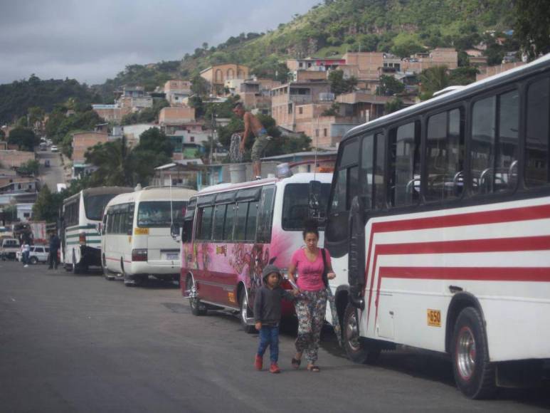 Transportistas cumplen su advertencia y paralizan sus buses en la capital