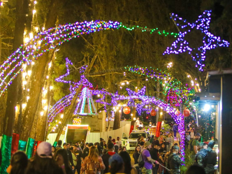 Luces navideñas adornan las noches en El Picacho