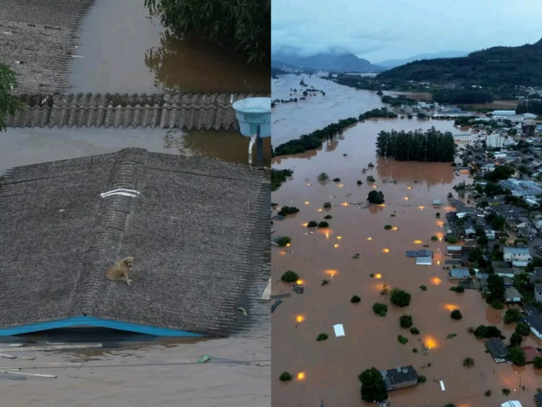 Brasil bajo el agua: ciudades desaparecen por inundaciones tras fuertes lluvias