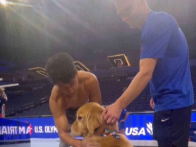 ¿Quién es Beacon, el perro terapia que forma parte del team USA de gimnasia?