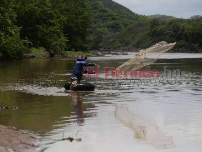 Fronteras desprotegidas y miedo: pandilleros salvadoreños viven a sus anchas en Honduras