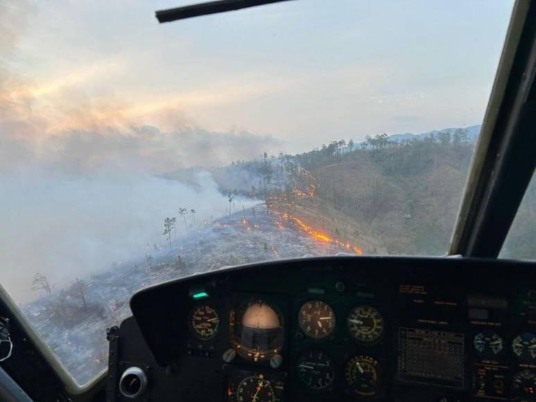 Uso de helicópteros y personal en tierra: así luchan los bomberos para controlar incendio en La Tigra