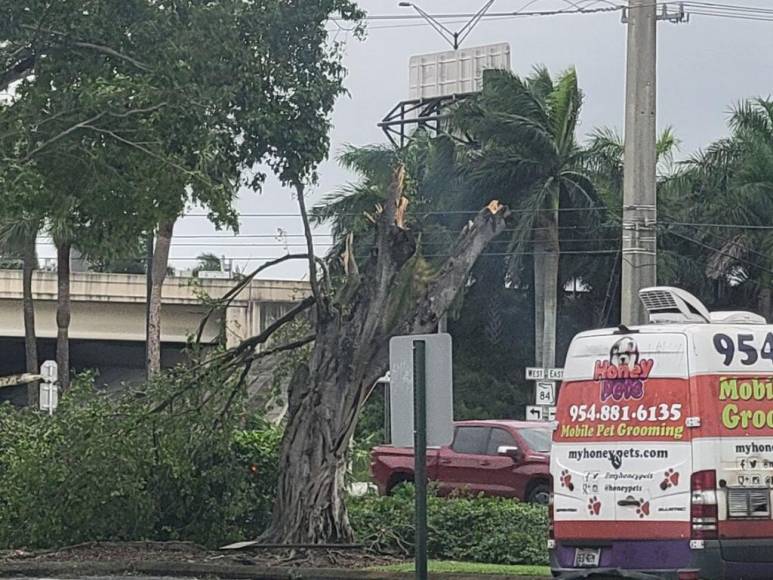 Apocalíptico y destructor: Así fue el tornado que azotó aeropuerto de North Perry en Florida