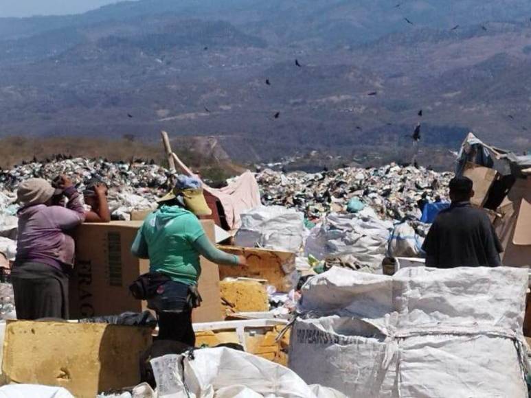 Zu Clemente participa en entrega de comida a familias del Crematorio