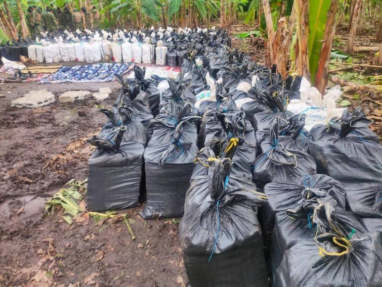 Más de 20 toneladas de cocaína incautan en operativo militar en Ecuador