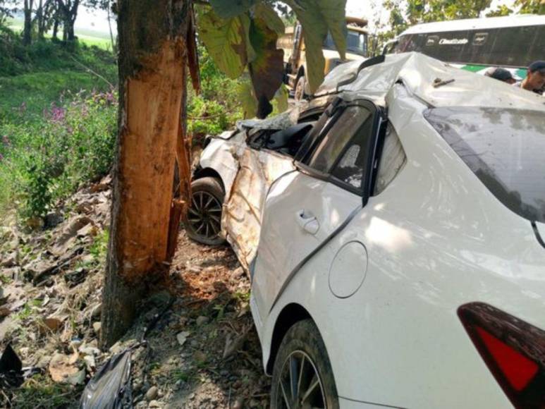 Joven muere tras estrellarse contra árbol en Ecuador; evitó atropellar a perro