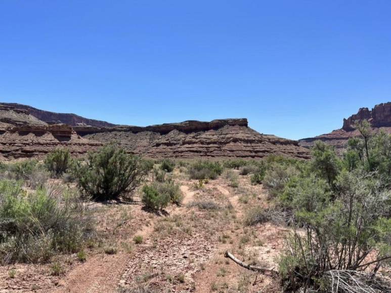 Padre e hija mueren por ola de calor durante excursión en Parque Canyonland